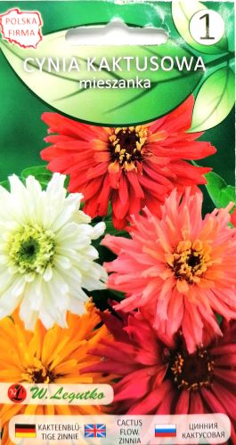 Zinnia Cactus Seeds